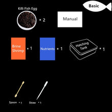 Load image into Gallery viewer, Magic Angel fish Egg soil Hatching earth Real fish Pet Biology Educational Learning Toys for Student Kids Boy Girl New Year Gift